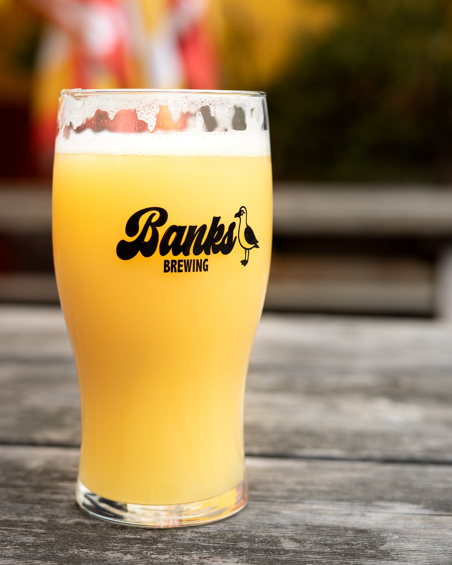 BANKS SEAGULL PINT GLASS