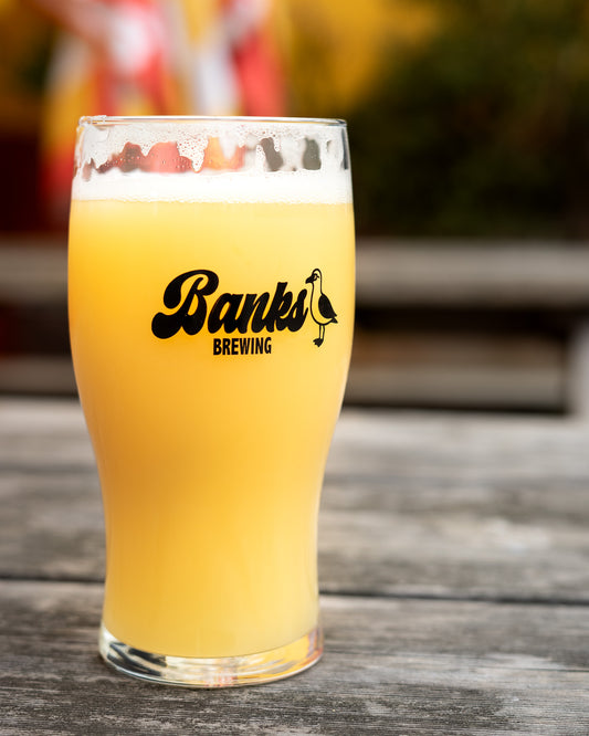 BANKS SEAGULL PINT GLASS